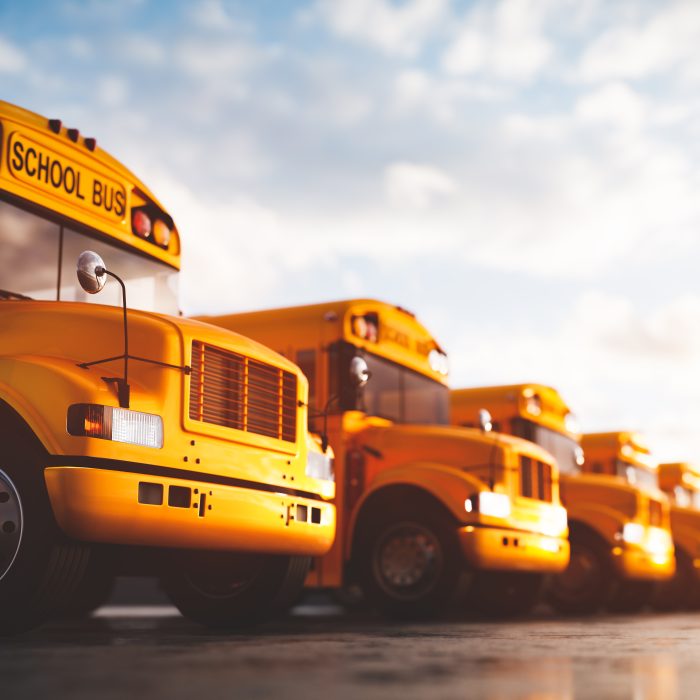 Yellow school bus fleet on parking. Back to school